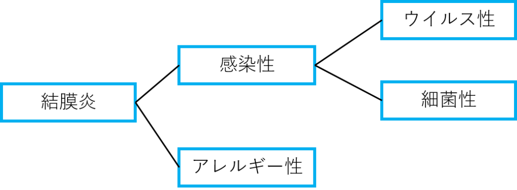 結膜炎の分類｜川口市の学校医（森田眼科）が作成