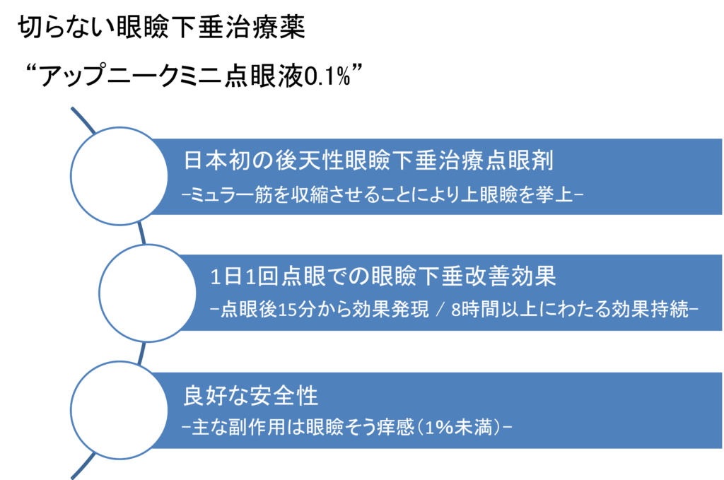 アップニークミニの特徴（森田医師作成）